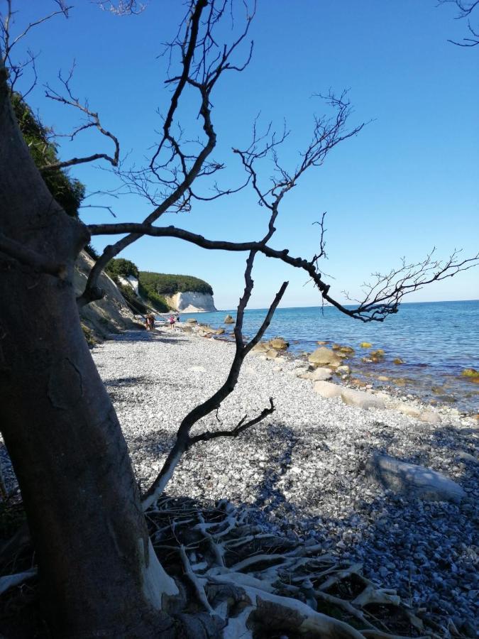 Ferienwohnung "Kranich" Im Ferien-Resort Ruegen Sagard Dış mekan fotoğraf